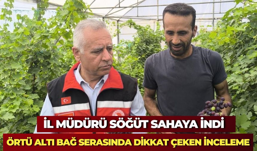 Şanlıurfa’da Örtü Altı Bağ Yetiştiriciliğinde İnceleme Yapıldı
