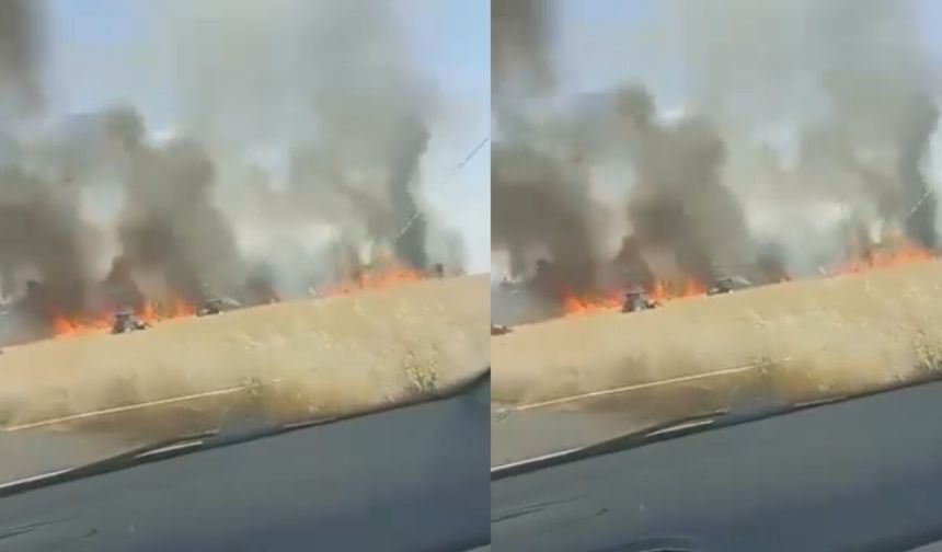 Şanlıurfa Akçakale’de Hasat Öncesi Büyük Kayıp!