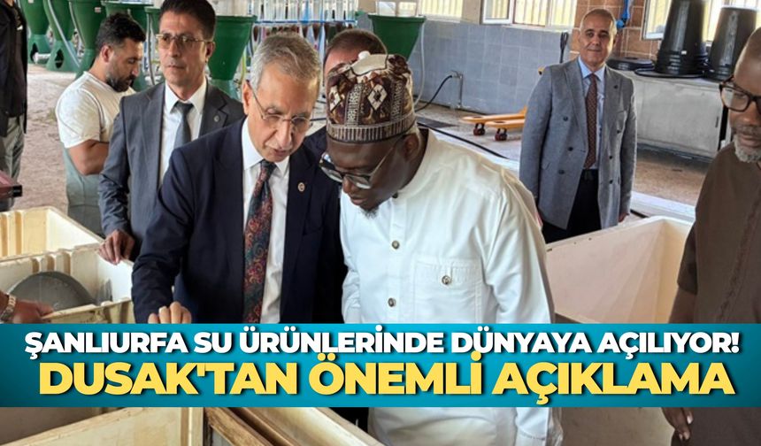Şanlıurfa Su Ürünlerinde Dünyaya Açılıyor! Dusak'tan Önemli Açıklama