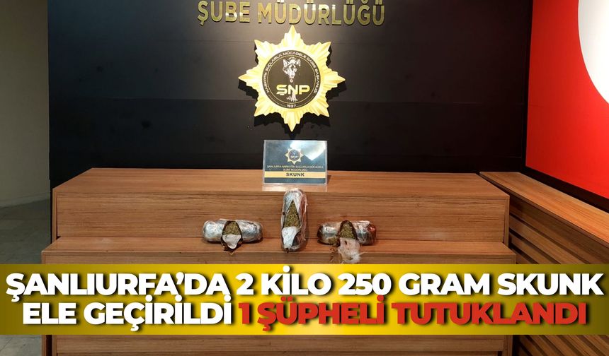 Şanlıurfa’da 2 Kilo 250 Gram Skunk Ele Geçirildi: 1 Şüpheli Tutuklandı