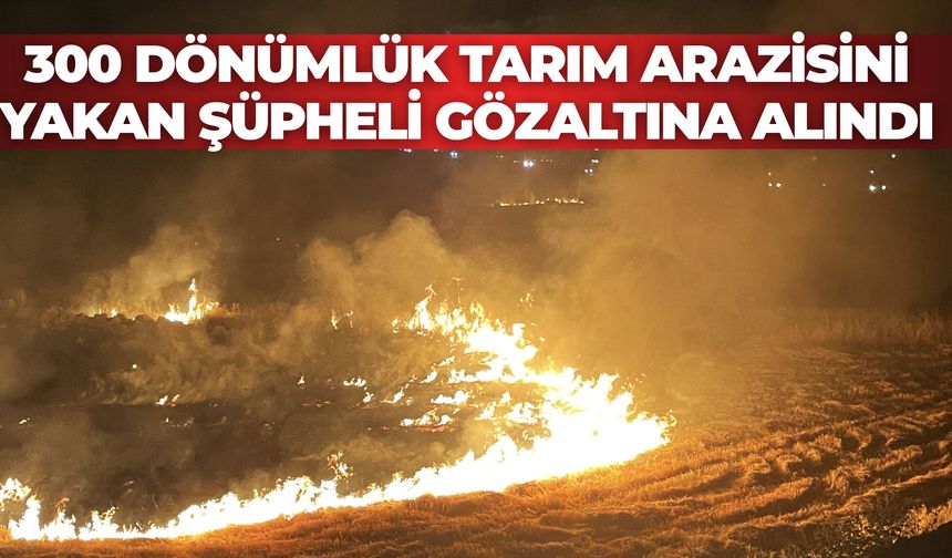 Şanlıurfa’da 300 Dönümlük Tarım Arazisini Yakan Şüpheli Gözaltına Alındı