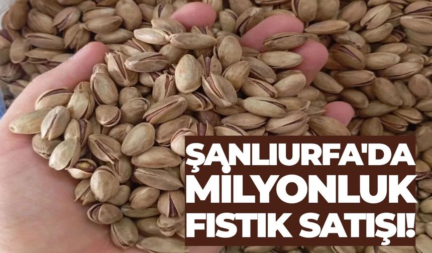 Şanlıurfa'da 65 Ton Kuru Fıstık Satışa Çıkıyor!