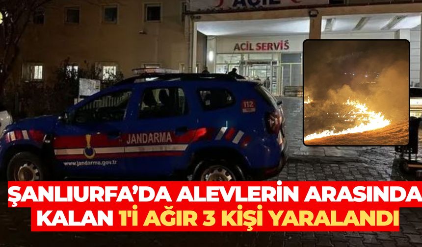 Şanlıurfa’da Alevlerin Arasında Kalan 1'i Ağır 3 Kişi Yaralandı