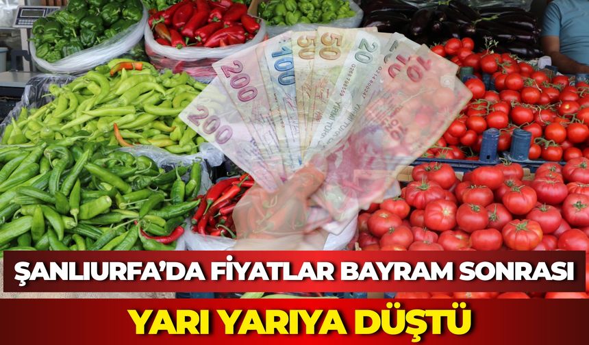 Şanlıurfa’da Biber Fiyatları Bayram Sonrası Yarı Yarıya Düştü