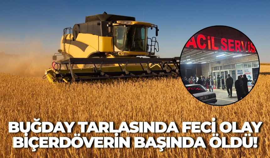Şanlıurfa’daki Buğday Tarlasında Feci Olay: Biçerdöverin Başında Öldü!