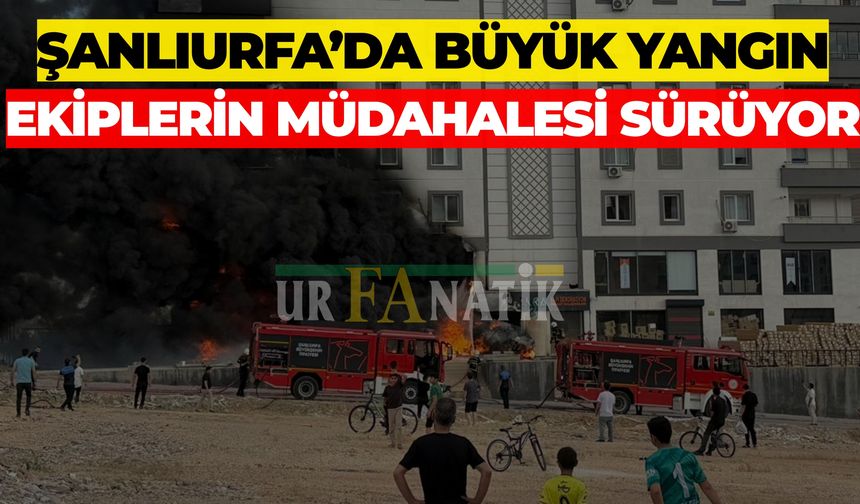 Şanlıurfa'da korkutan Yangın Çok Sayıda Ekip Sevk Edildi