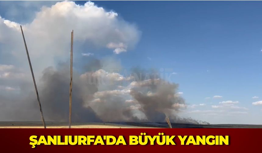 Şanlıurfa Haliliye'de Arazi Yangını