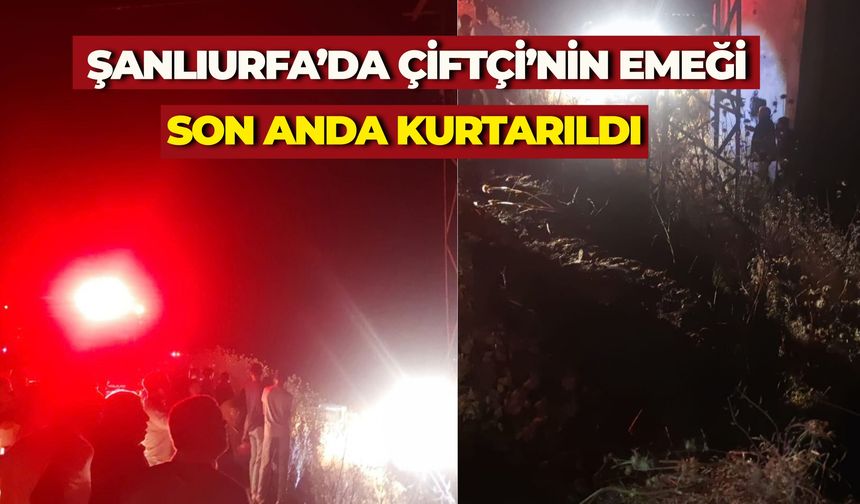Şanlıurfa’da Korkutan Yangın: Kül Olmaktan Son Anda Kurtarıldı!