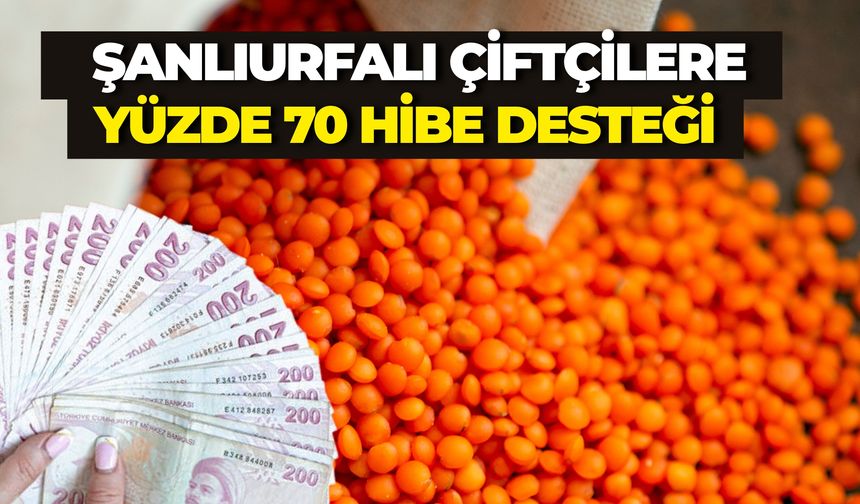 Şanlıurfa’da Çiftçiye Mercimek Tohumunda Yüzde 70 Hibe Desteği