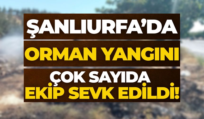 Şanlıurfa'da Çıkan Orman Yangını Kontrol Altına Alındı
