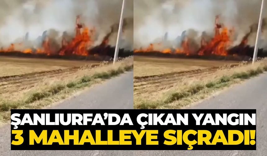 Şanlıurfa’da Çıkan Yangın 3 Mahalleye Sıçradı!