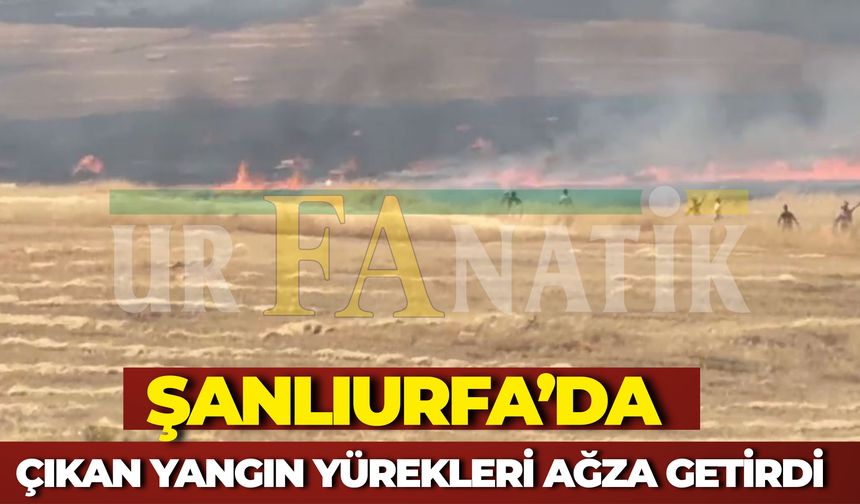 Şanlıurfa’da Çıkan Yangın Yürekleri Ağza Getirdi