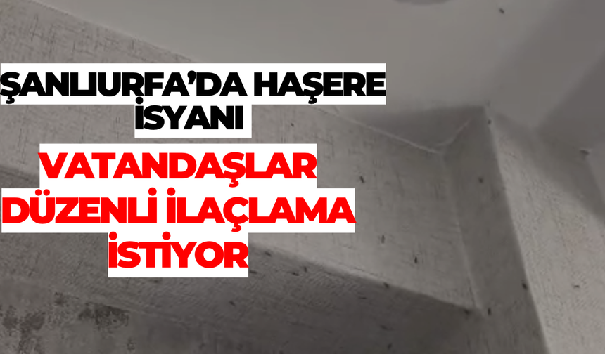 Şanlıurfa’da Haşere İsyanı: Vatandaşlar Düzenli İlaçlama İstiyor