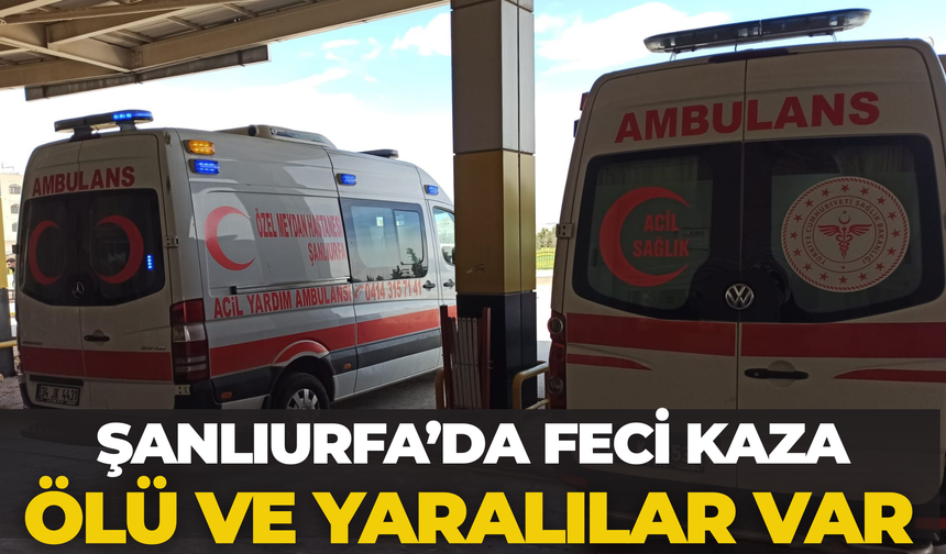 Şanlıurfa- Akçakale Yolunda Feci Kaza: Ölü Ve Yaralılar Var