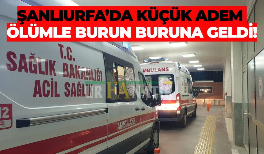 Şanlıurfa’da Küçük Adem Ölümle Burun Buruna Geldi!