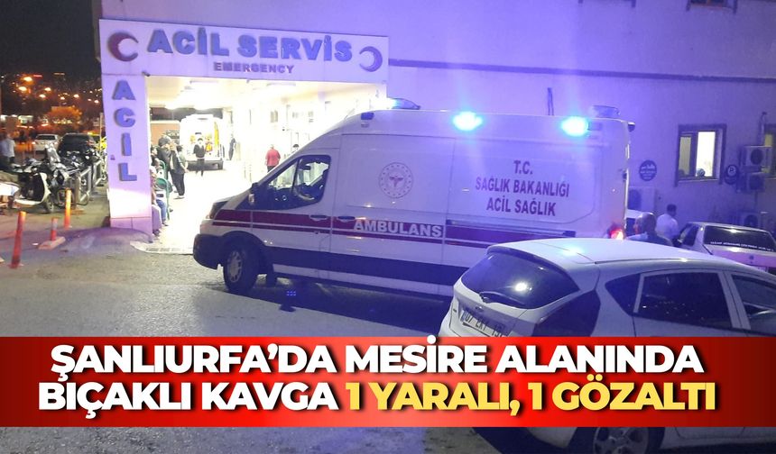 Karaköprü Mesire Alanındaki Bıçaklı Kavga Kanlı Bitti: 1 Yaralı, 1 Gözaltı