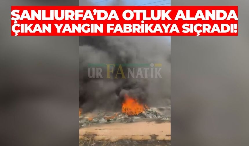 Şanlıurfa’da Otluk Alanda Çıkan Yangın Fabrikaya Sıçradı!