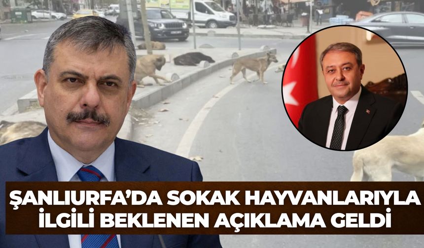 Şanlıurfa, Türkiye’ye Örnek Olan İller Arasına Girdi