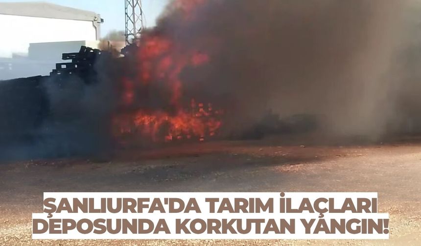 Şanlıurfa'da Tarım İlaçları Deposunda Korkutan Yangın!