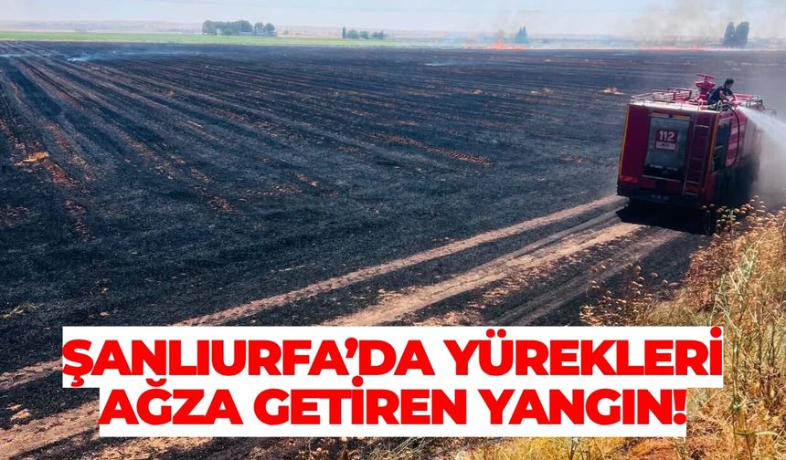 Şanlıurfa’da Yürekleri Ağza Getiren Yangın!