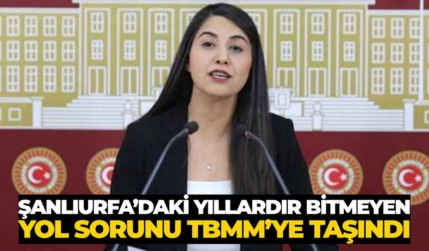 Şanlıurfa’daki Yıllardır Bitmeyen Yol Sorunu TBMM’ye Taşındı