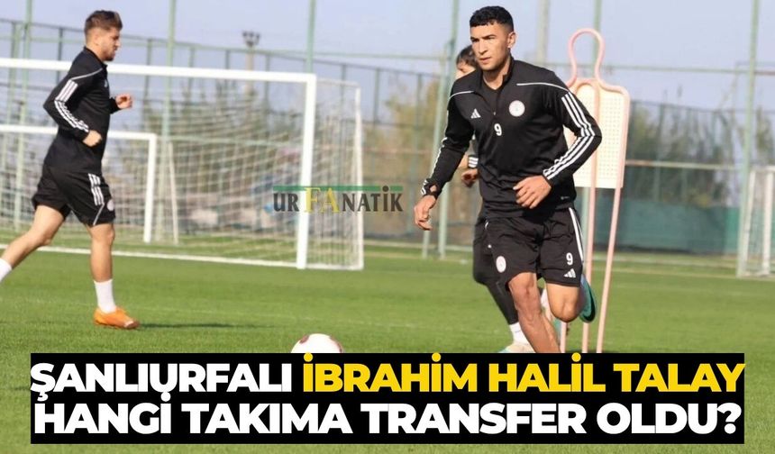 Şanlıurfalı İbrahim Halil Talay Hangi Takıma Transfer Oldu?