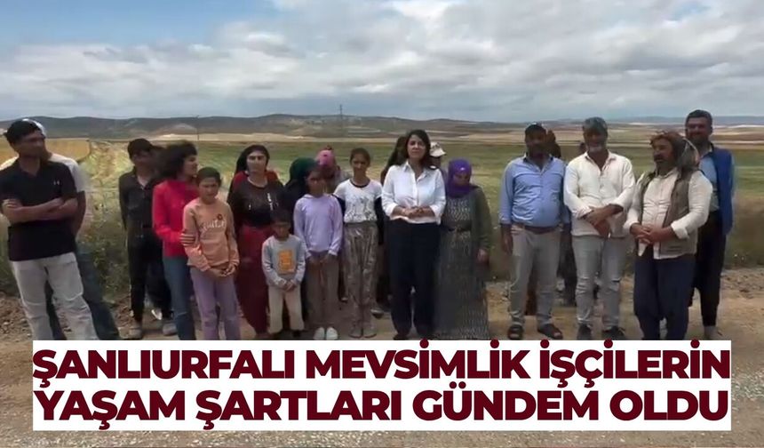 Şanlıurfalı Mevsimlik İşçilerin Yaşam Şartları Gündem Oldu
