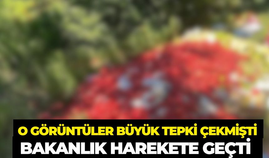 Sebzeleri Ormana Döktü: Bakanlık Harekete Geçti