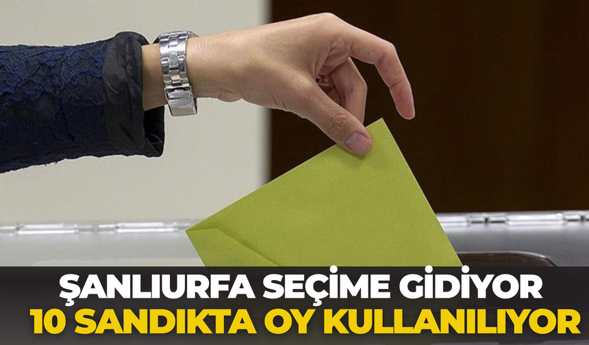 Şanlıurfa’da Muhtarlık Sandıklar Kuruldu: Hangi Mahallede Kim Kazanacak?