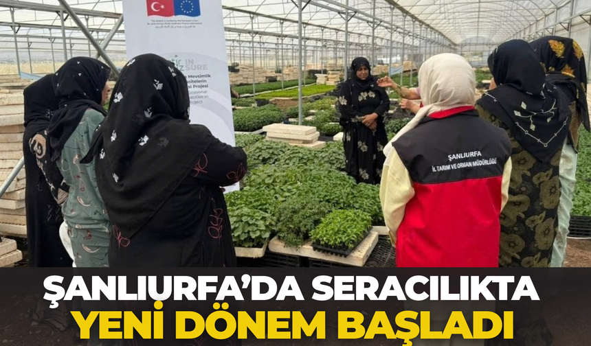 Şanlıurfa’da Seracılıkta Yeni Dönem Başladı