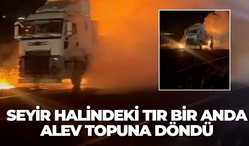 Viranşehir–Nusaybin Yolunda Korku Dolu Anlar: Tır Alev Alev Yandı!