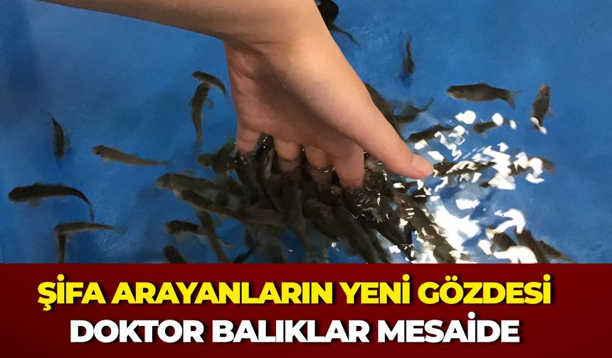 Şifa Arayanların Yeni Gözdesi: Kırşehir'de Doktor Balıklar Mesaide