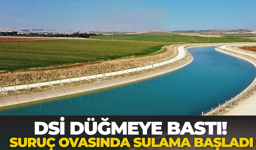 DSİ Düğmeye Bastı! Suruç Ovasında Sulama Başladı