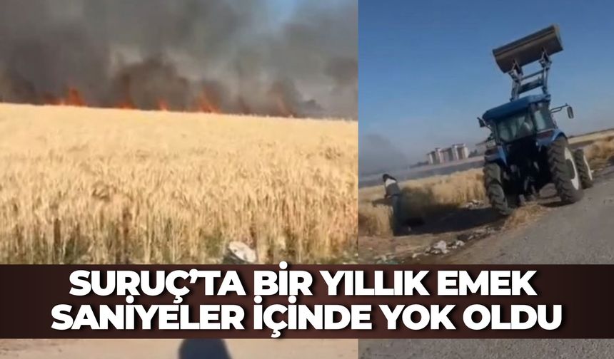Suruç’ta Bir Yıllık Emek Saniyeler İçinde Yok Oldu