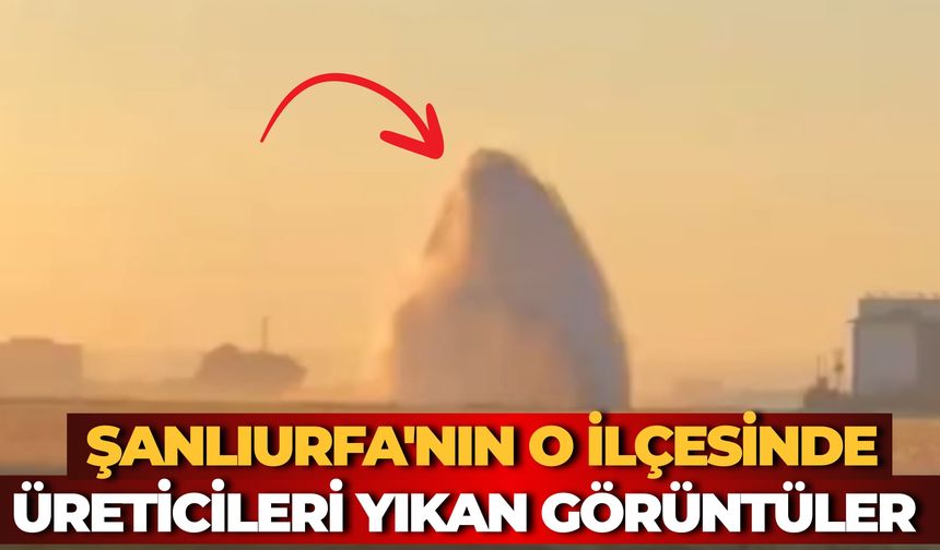 Suruç'ta DSİ'ye Ait Ana Sulama Hattı Patladı: Ekili Tarım Arazileri Sular Altında Kaldı