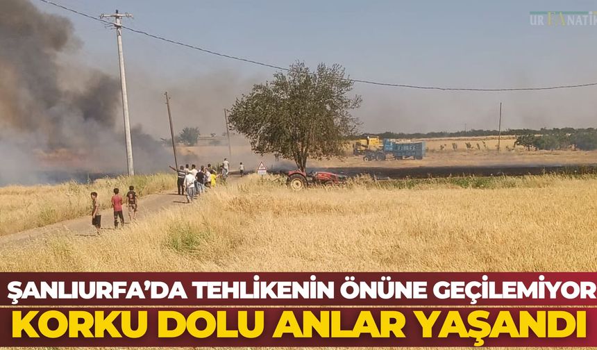 Şanlıurfa Bozova’da Buğday Tarlasında Yangın Paniği