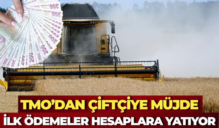 TMO’dan Çiftçiye Müjde: İlk Ödemeler Hesaplara Yatıyor