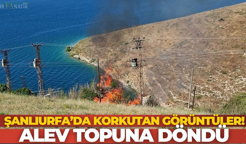 Şanlıurfa’da Korkutan Görüntüler! Alev Topuna Döndü
