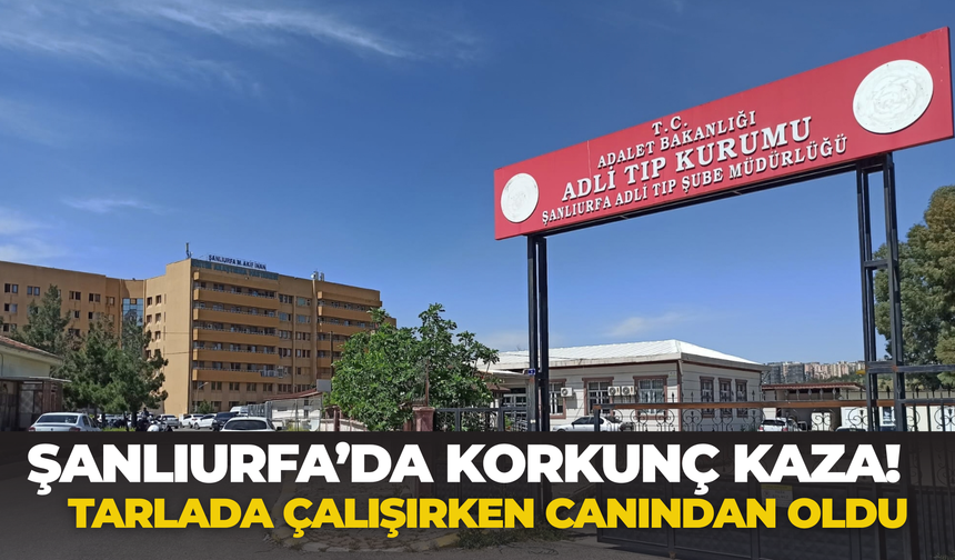Şanlıurfa’da Korkunç Kaza! Tarlada Çalışırken Canından Oldu