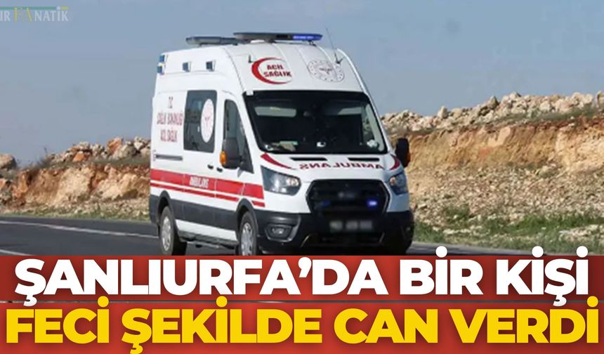 Şanlıurfa'da Elektrik Direğinden Düşen Çiftçi Hayatını Kaybetti