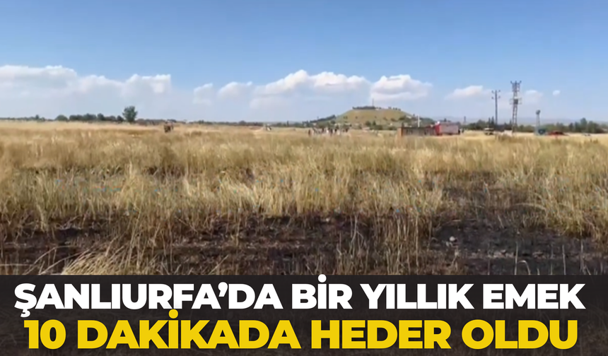 Şanlıurfa’da Bir Yıllık Emek 10 Dakikada Heder Oldu
