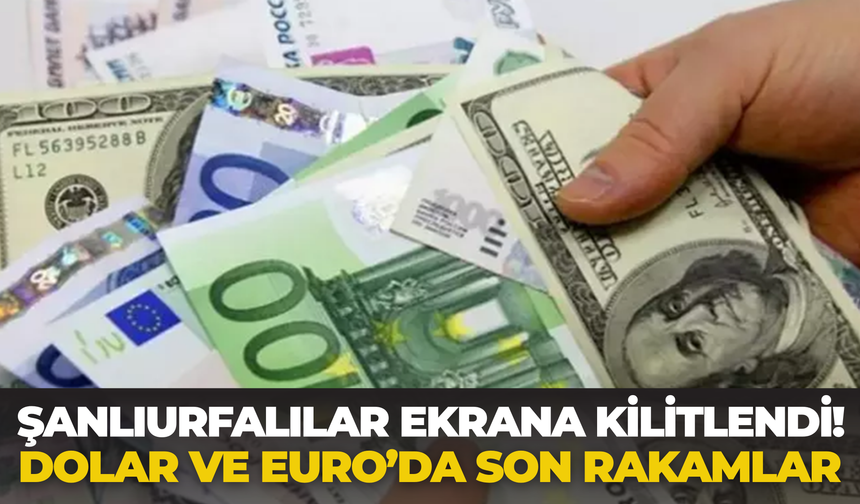 Dolar Kaç TL Oldu, Euro Ne Kadar? ( 15 Haziran Güncel Döviz Kurları)