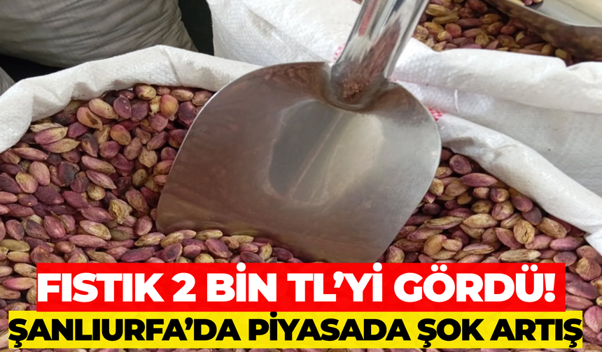 Fıstık 2 Bin TL’yi Gördü! Şanlıurfa’da Piyasada Şok Artış