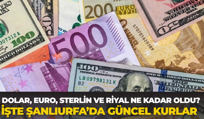 Dolar Kaç TL Oldu, Euro Ne Kadar? ( 13 Haziran Güncel Döviz Kurları)