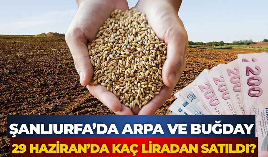 Şanlıurfa’da Arpa Ve Buğday 29 Haziran’da Kaç Liradan Satıldı?