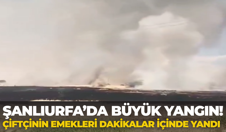 Şanlıurfa’da Büyük Yangın! Çiftçinin Emekleri Dakikalar İçinde Yandı