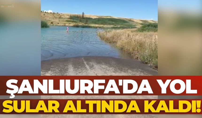 Şanlıurfa'da Yol Sular Altında Kaldı!