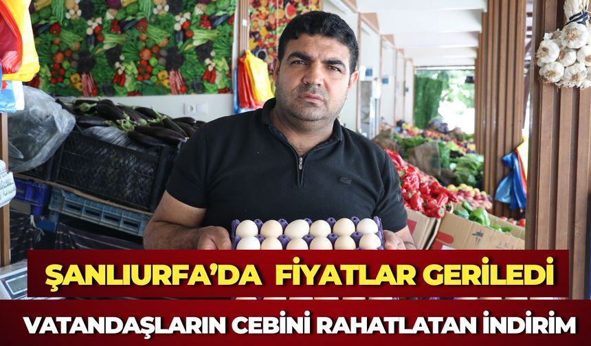 Şanlıurfa’da Yumurta Fiyatları Geriledi: Koli Fiyatındaki Düşüş Vatandaşı Rahatlattı