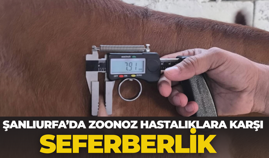 Şanlıurfa’da Zoonoz Hastalıklara Karşı Seferberlik