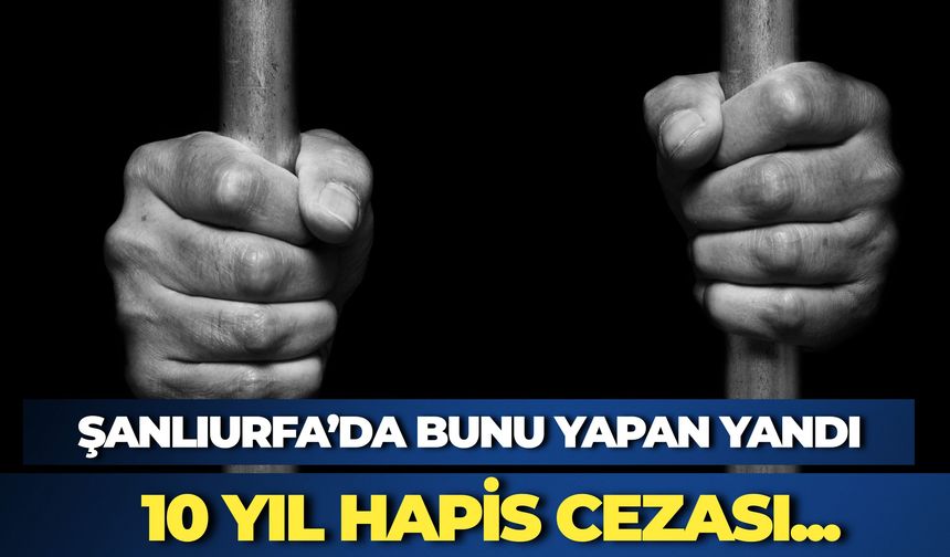 Orman Yangınlarında Cezalar Ağırlaştı: İhmalden Müebbete Kadar Hapis Cezası Var
